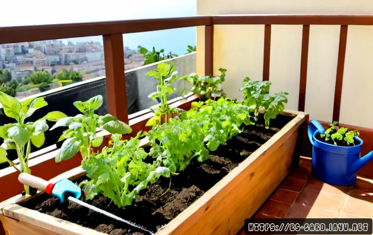 텃밭 자재 쇼핑몰 추천 - Photorealistic wide shot of a tidy Spanish urban balcony vegetable garden, raised wooden planter fil...